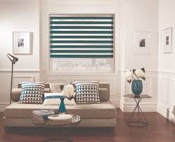 Transparent Twilight Blinds